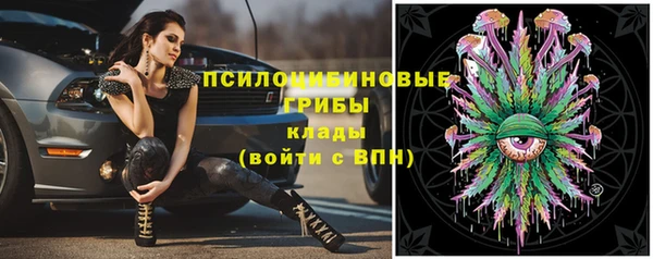синтетический гашиш Арсеньев