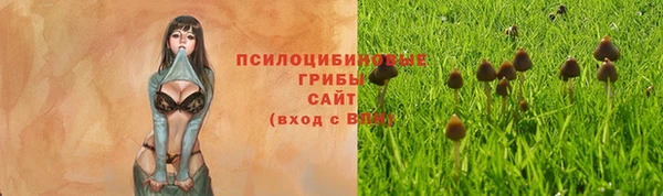 прущая мука Армянск